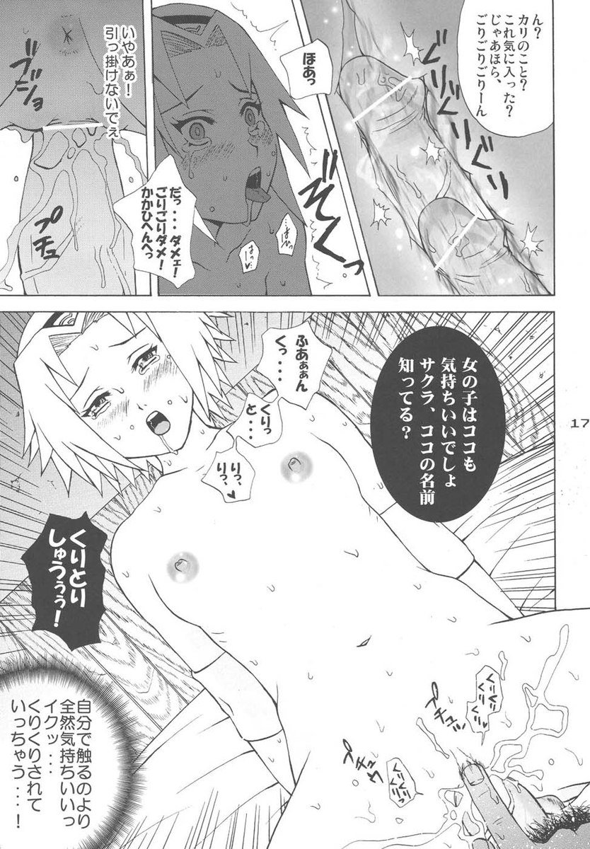 忍者少女日記