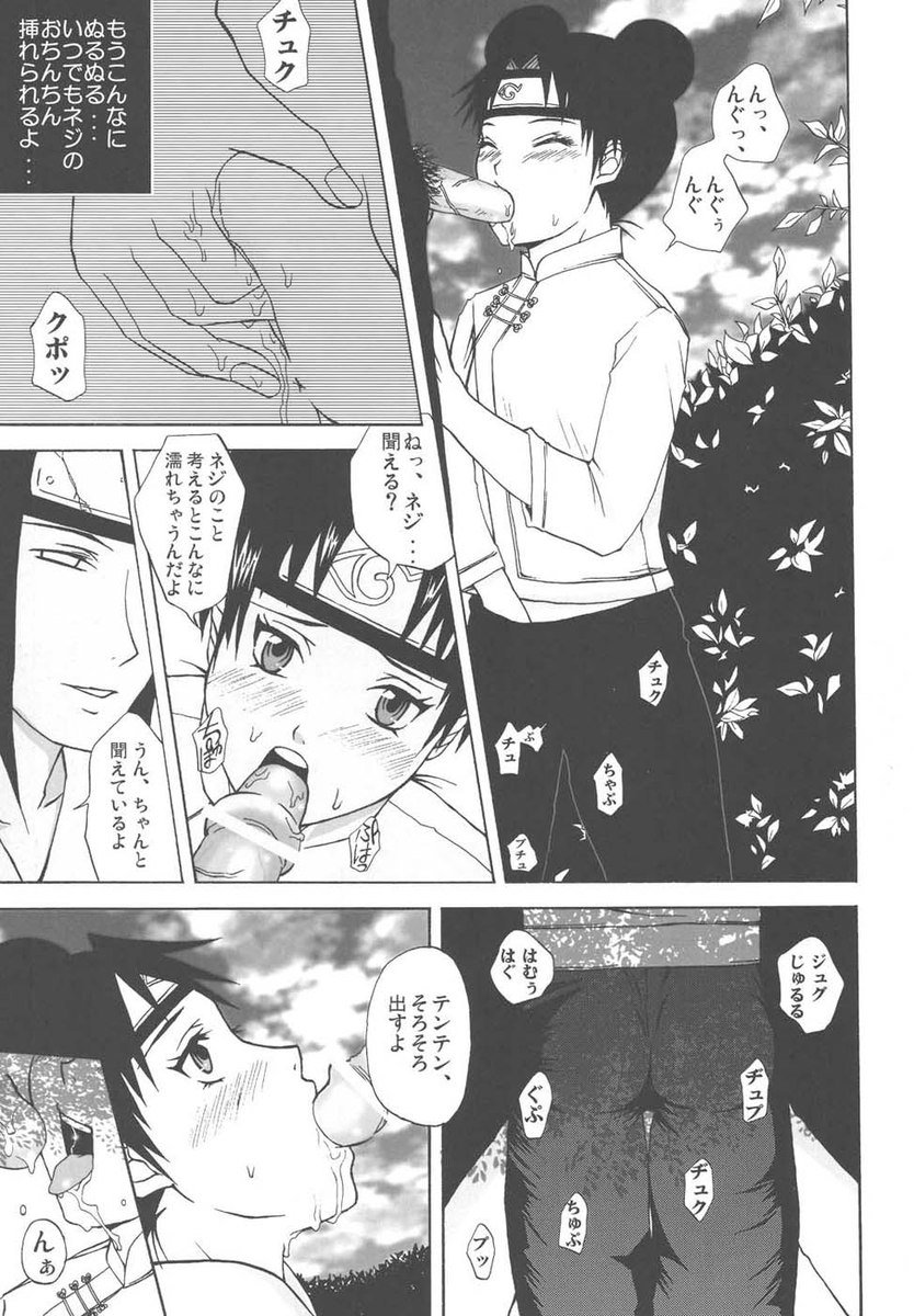 忍者少女日記