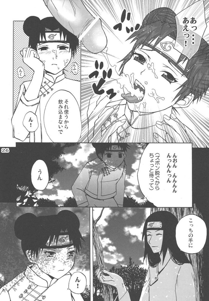 忍者少女日記