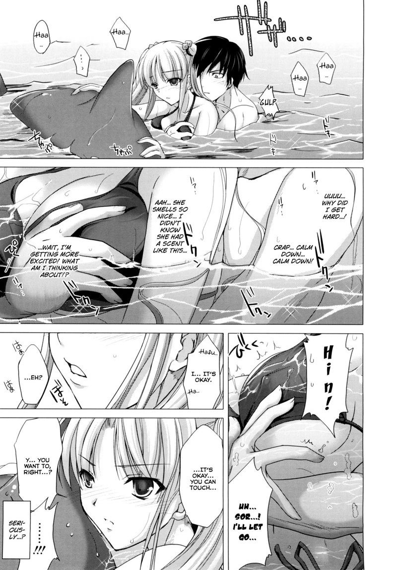 メイド花嫁10 メイド花嫁10