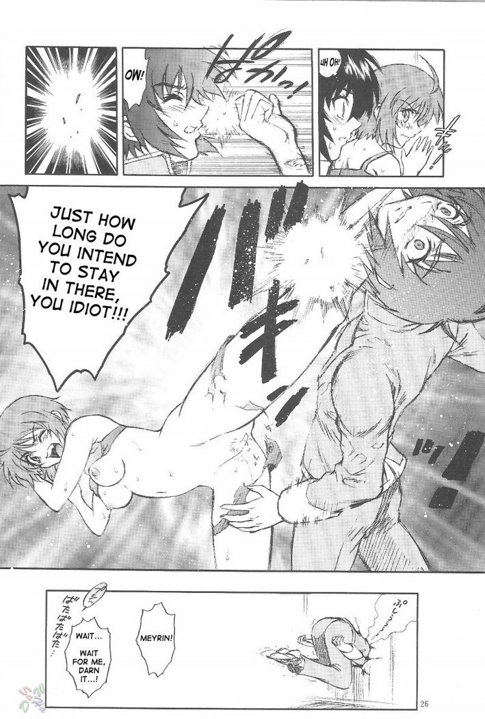 ガンダムシードデスティニー-バーニング ガンダムシードデスティニー-バーニング