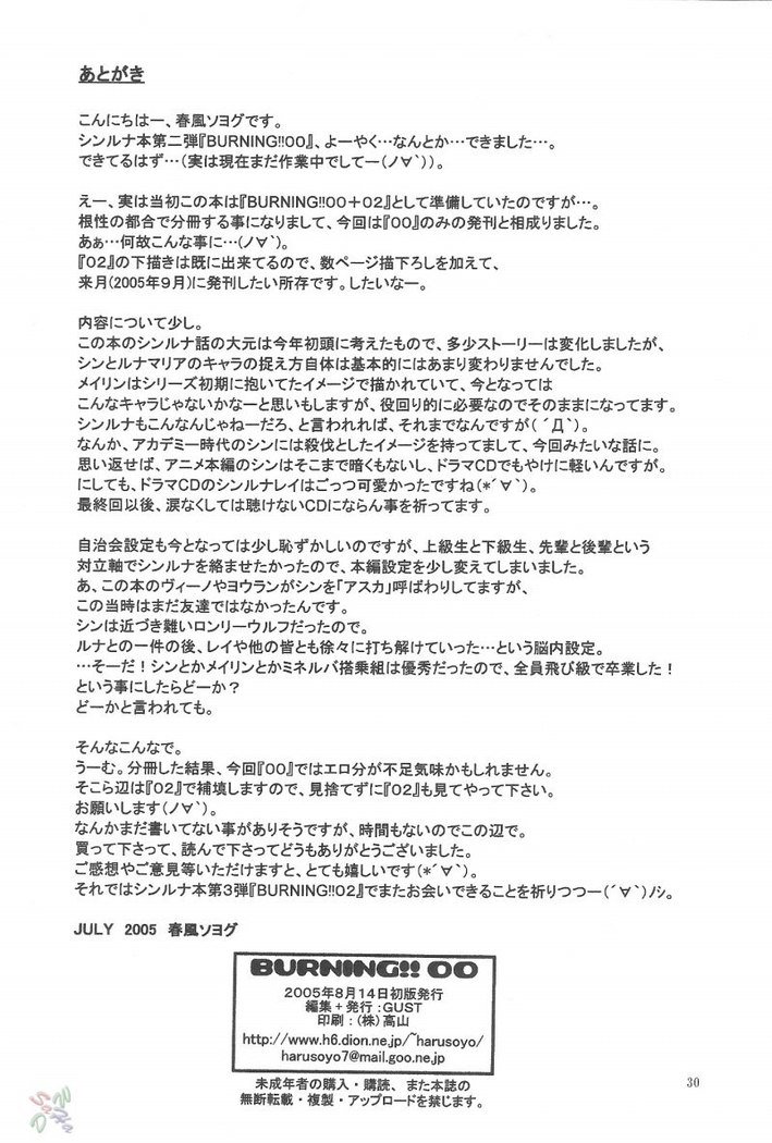 ガンダムシードデスティニー-バーニング ガンダムシードデスティニー-バーニング