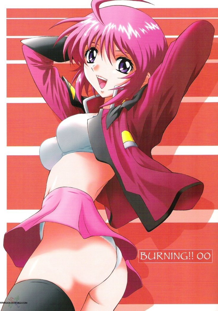 ガンダムシードデスティニー-バーニング ガンダムシードデスティニー-バーニング