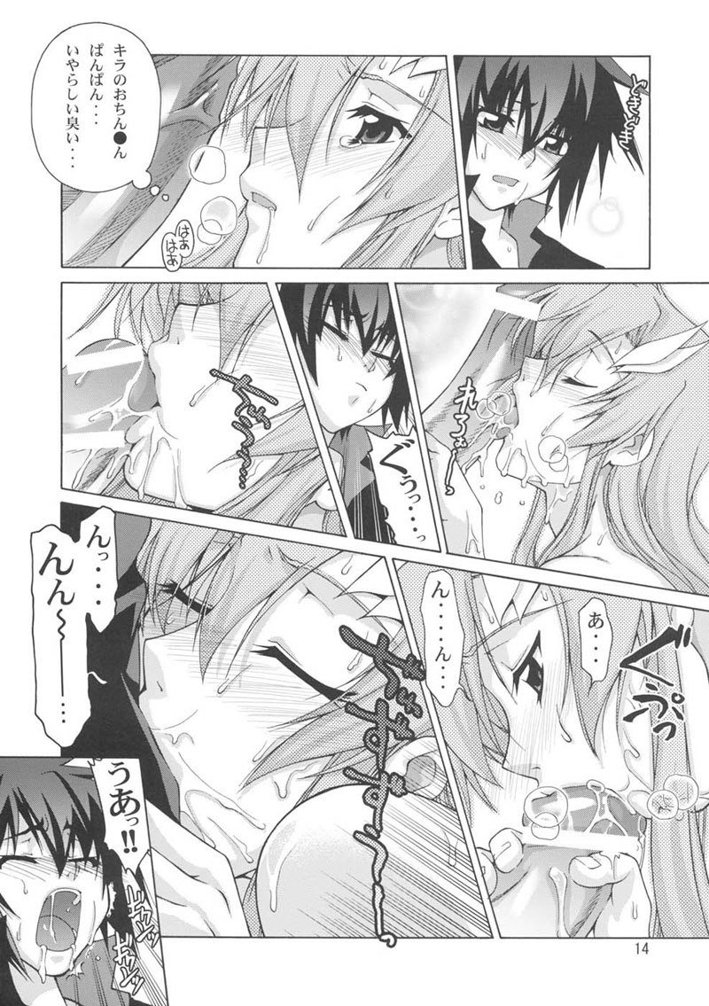 機動戦士ガンダムSEED-癒しの歌姫2 機動戦士ガンダムSEED-癒しの歌姫2