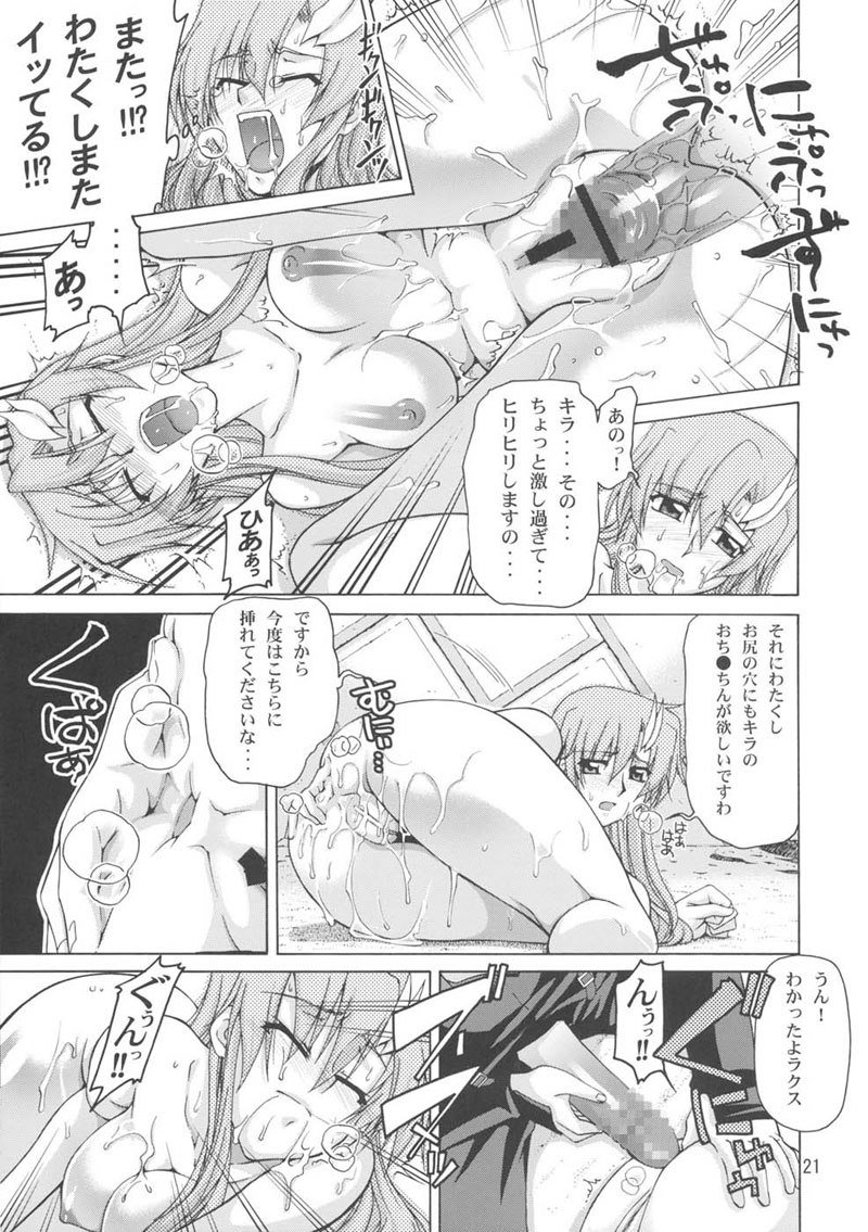 機動戦士ガンダムSEED-癒しの歌姫2 機動戦士ガンダムSEED-癒しの歌姫2