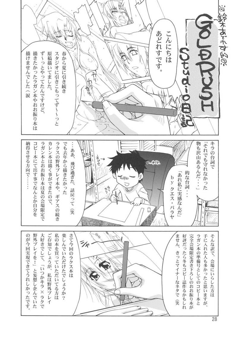 機動戦士ガンダムSEED-癒しの歌姫2 機動戦士ガンダムSEED-癒しの歌姫2