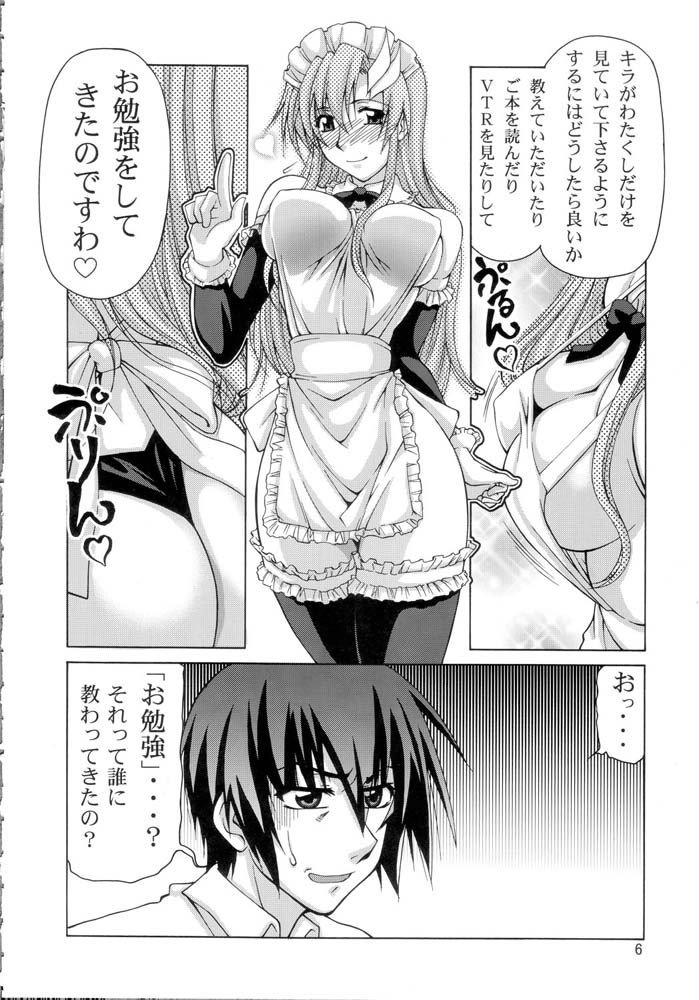 機動戦士ガンダムSEED-癒しの歌姫 機動戦士ガンダムSEED-癒しの歌姫