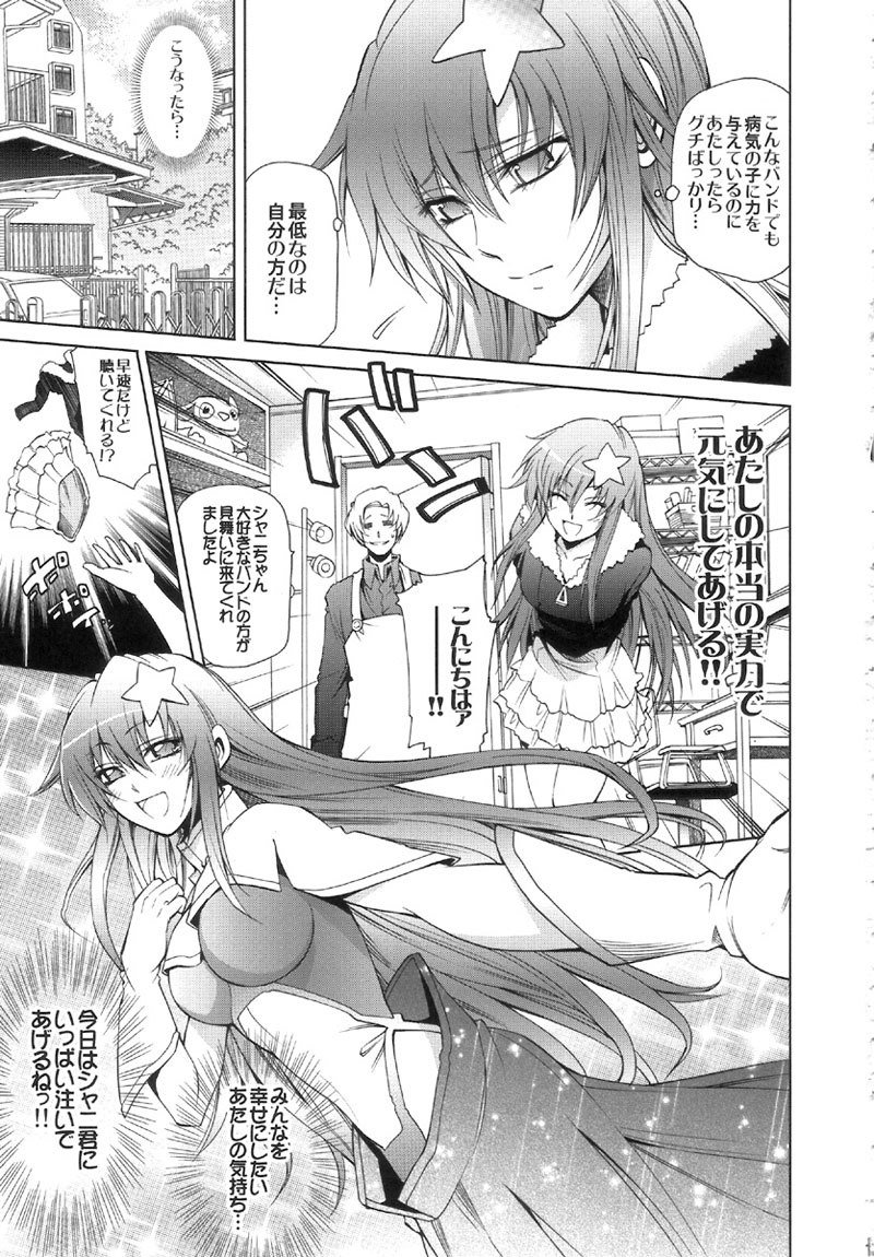 機動戦士ガンダムSEEDDESTINY-DESTINY METAL CHRIST 1 機動戦士ガンダムSEEDDESTINY-DESTINY METAL CHRIST 1