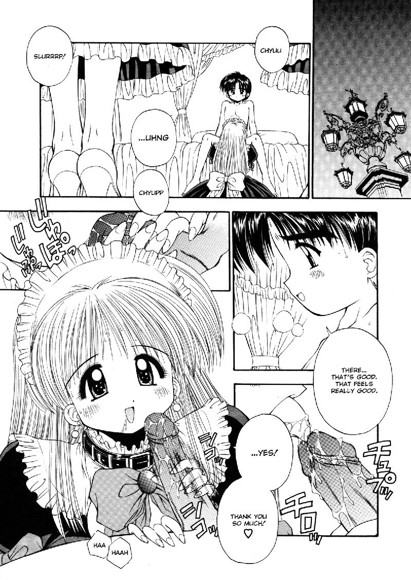 Elements5-ワンナイト