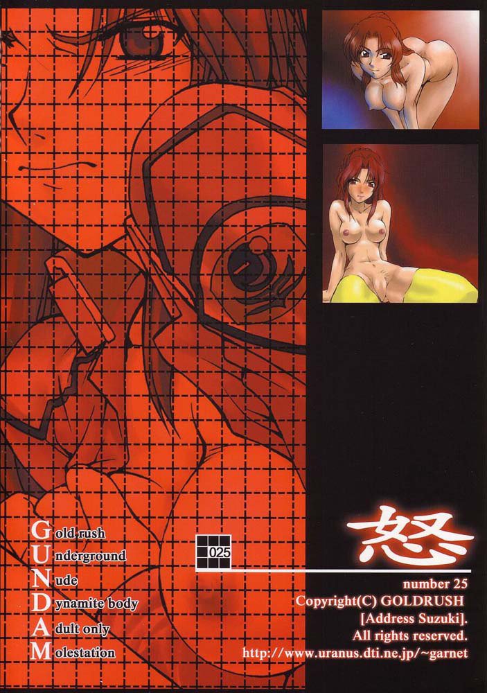 機動戦士ガンダムSEED-Emotion25