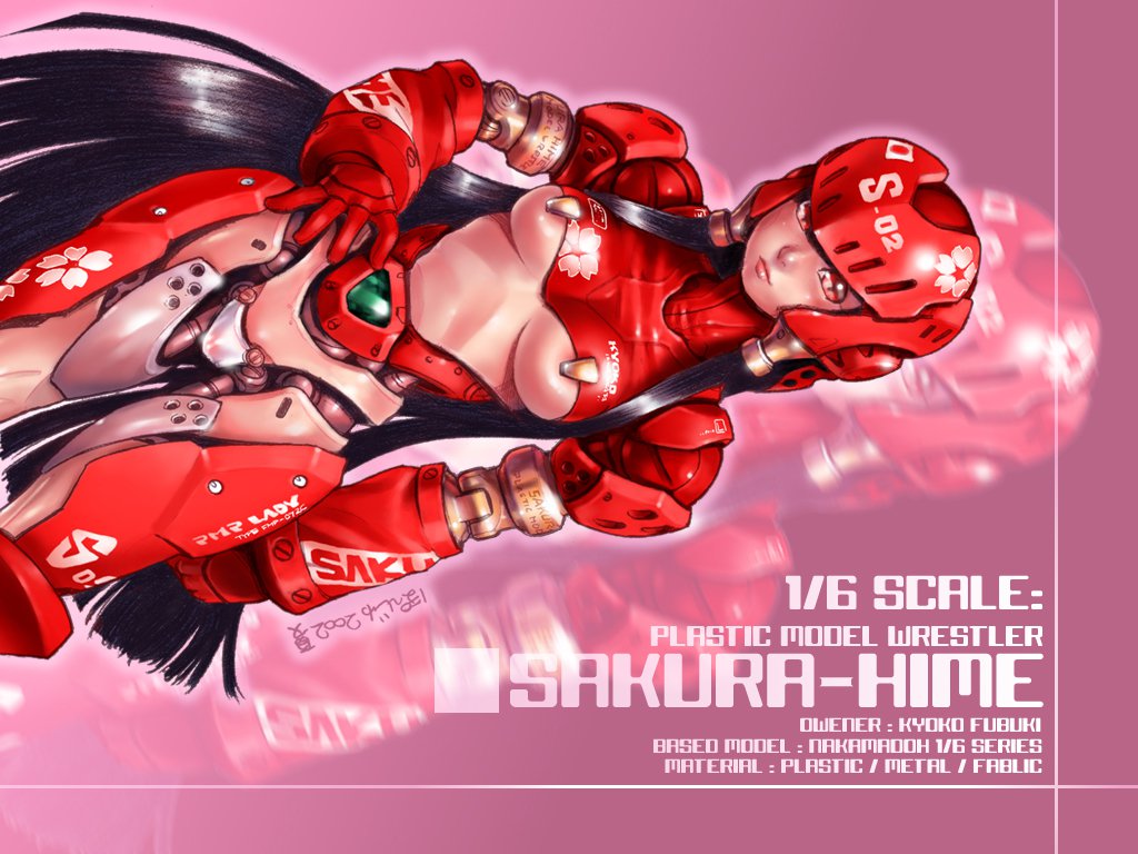 桜姫華伝