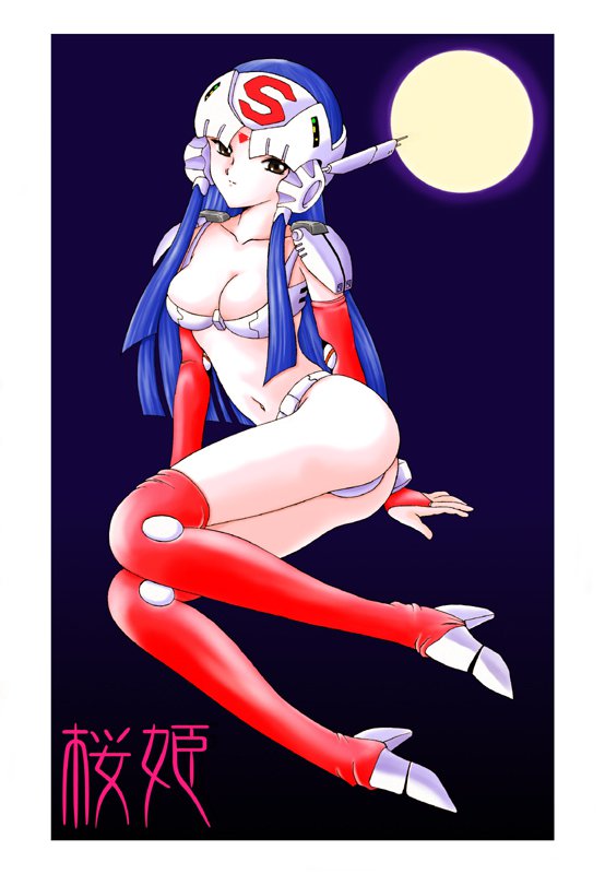 桜姫華伝