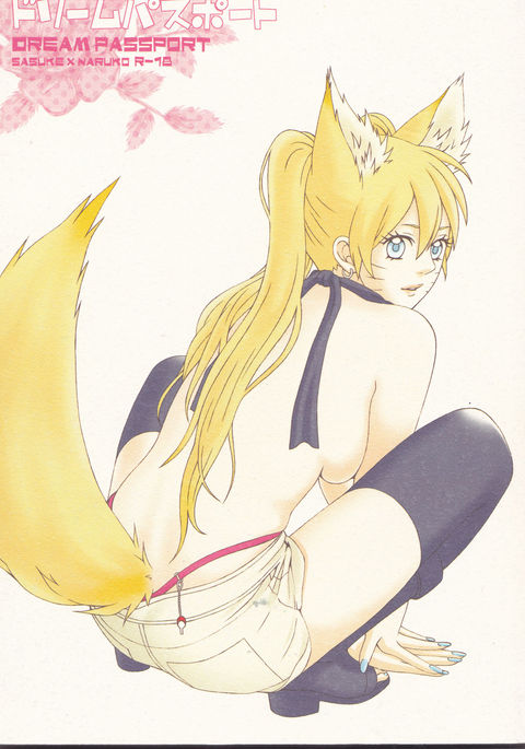 ドリームパスポート)不完全 ドリームパスポート)不完全