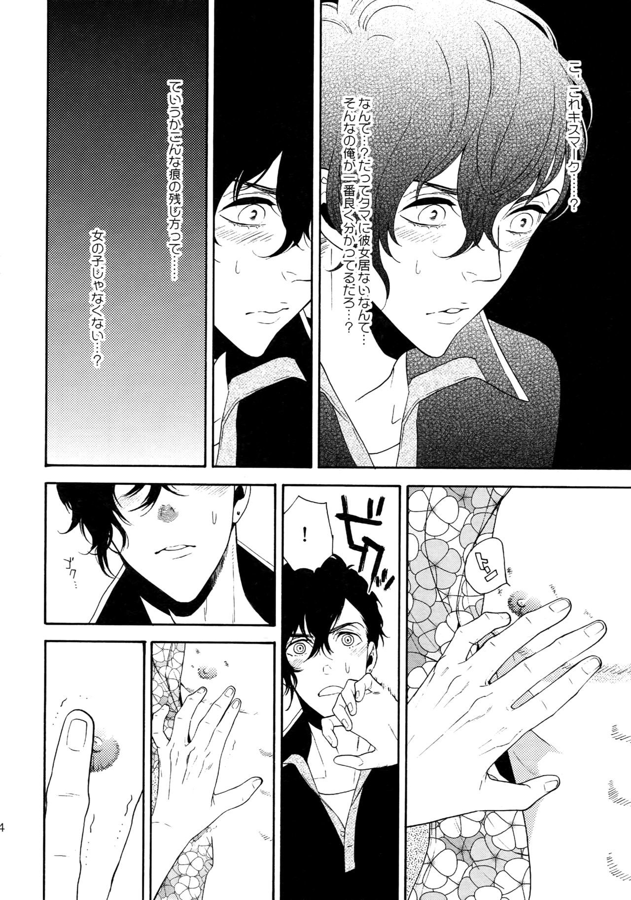 美しいティンカーベルソウ01