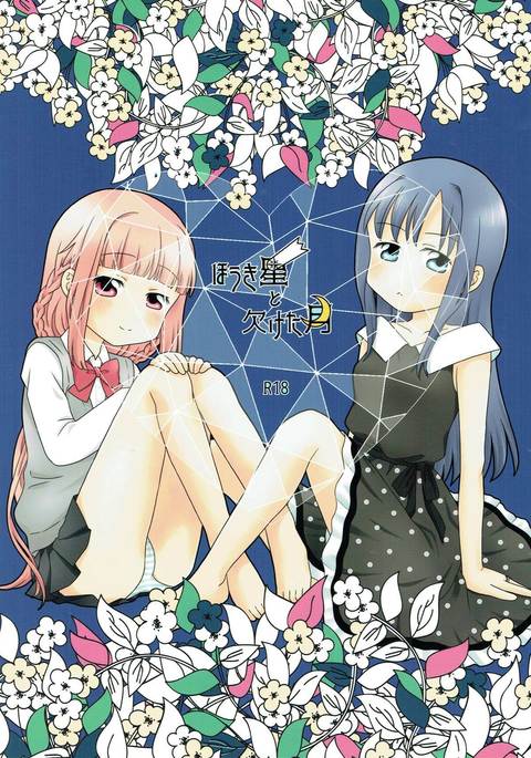 ほうき星と欠けた月 ほうき星と欠けた月