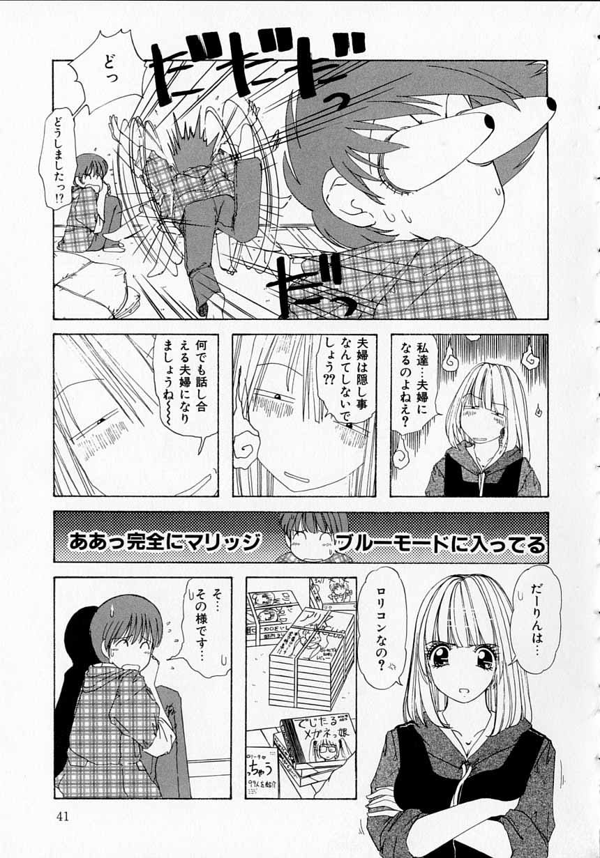 とってきの板倉