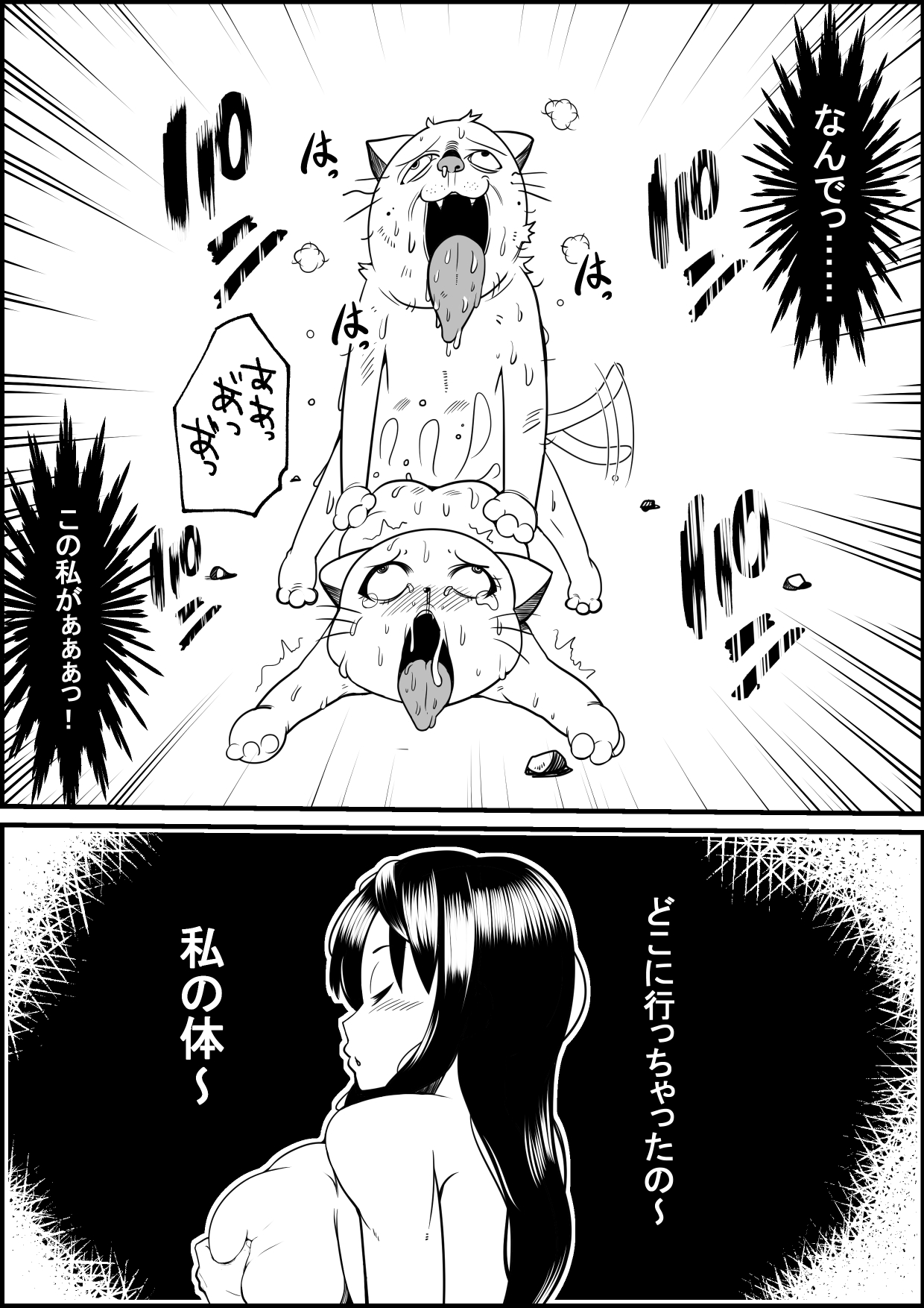 かいねこがあるひびじょうになったら