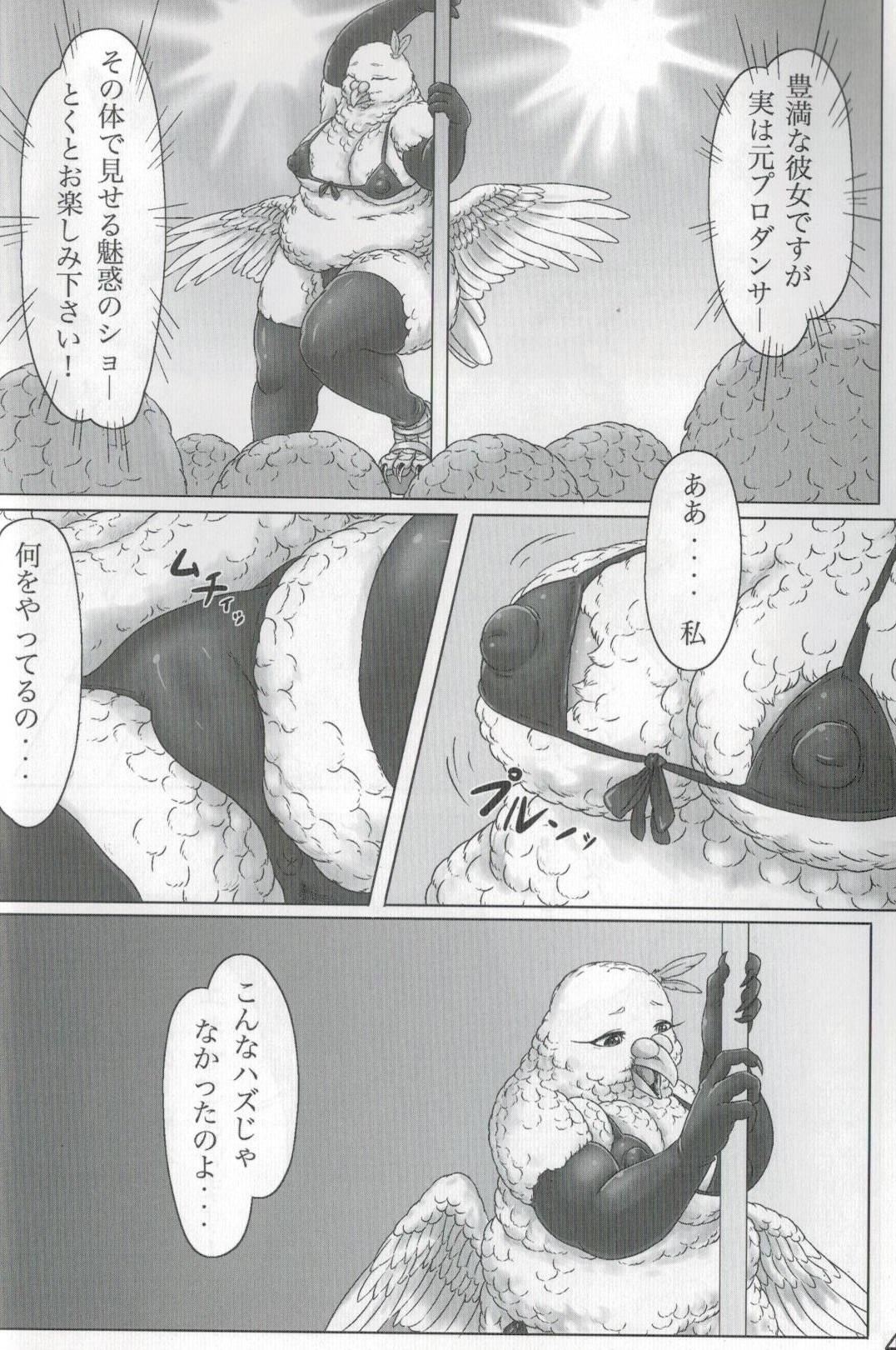 鳩奥様のレイトショー