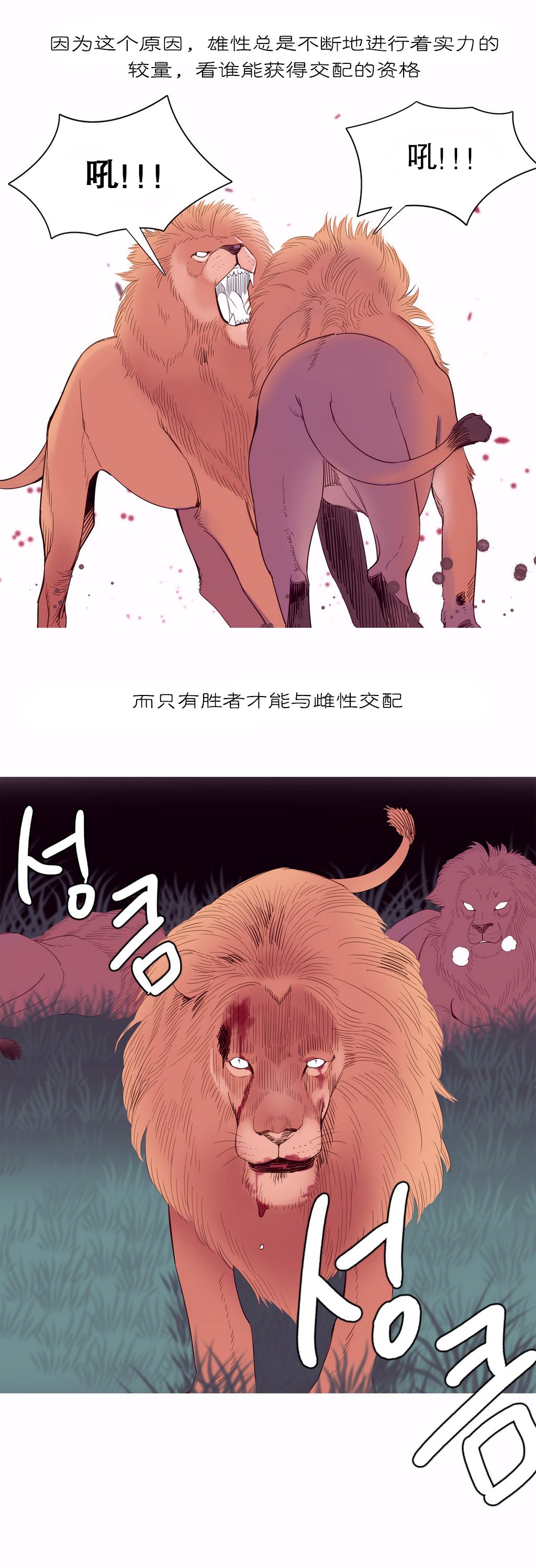 我形態的世界Ch.1-16