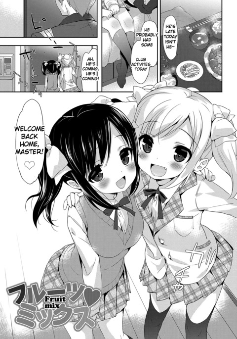 フルーツミックス フルーツミックス