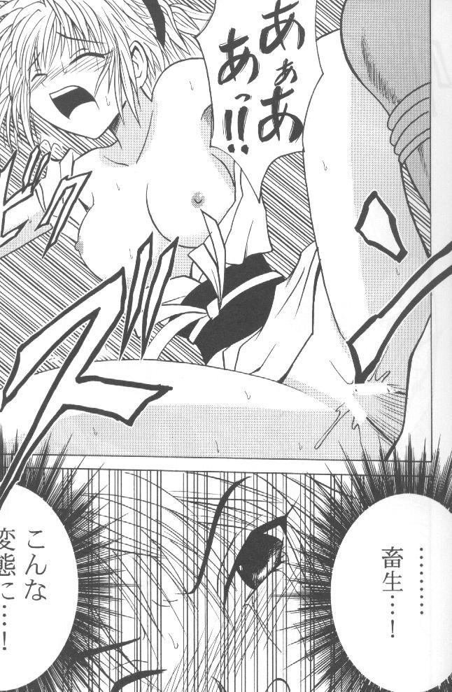 しんしくじざいのあい