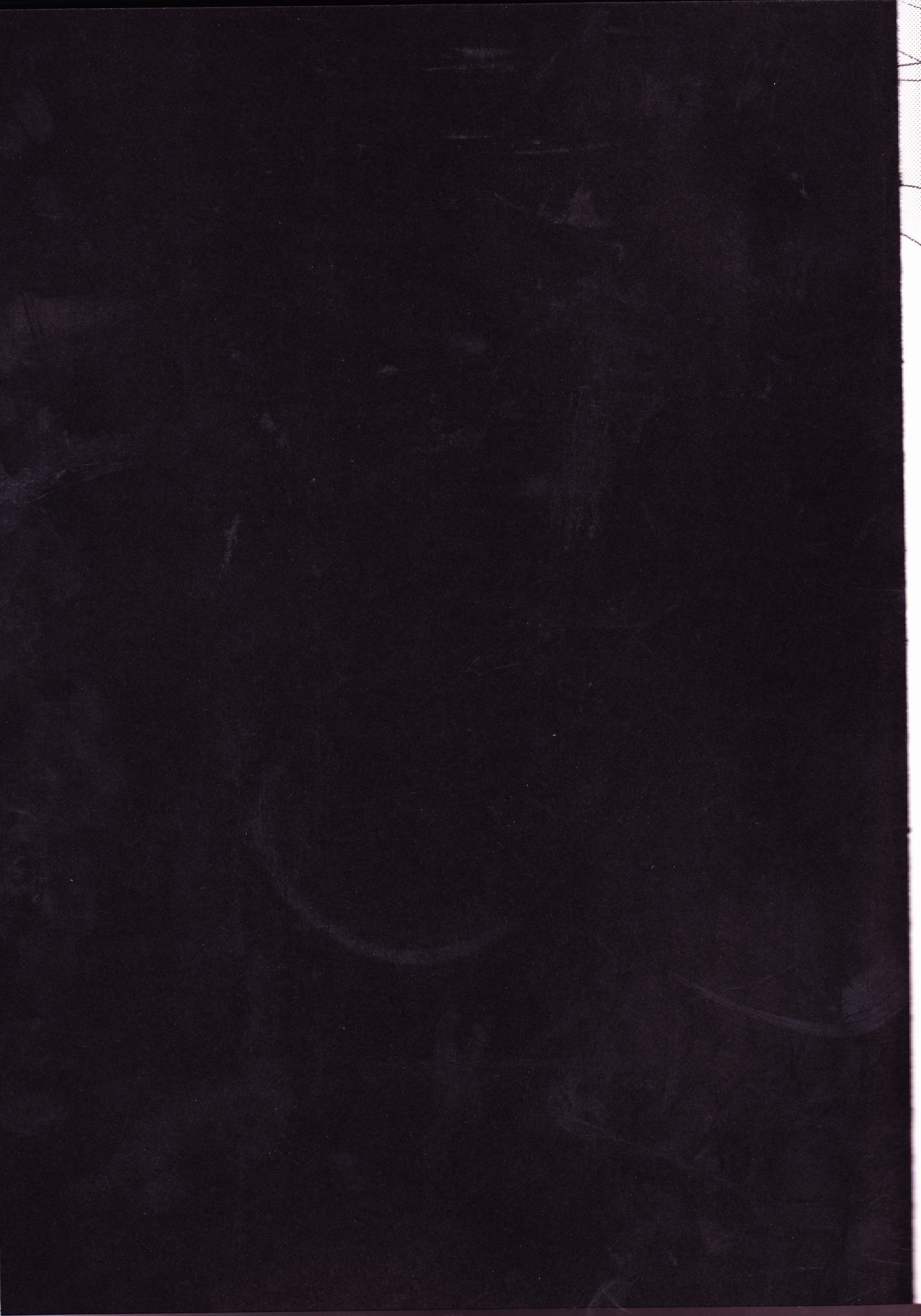 シーザーサラダオンタマノーズ英語ビリビリ シーザーサラダオンタマノーズ英語ビリビリ