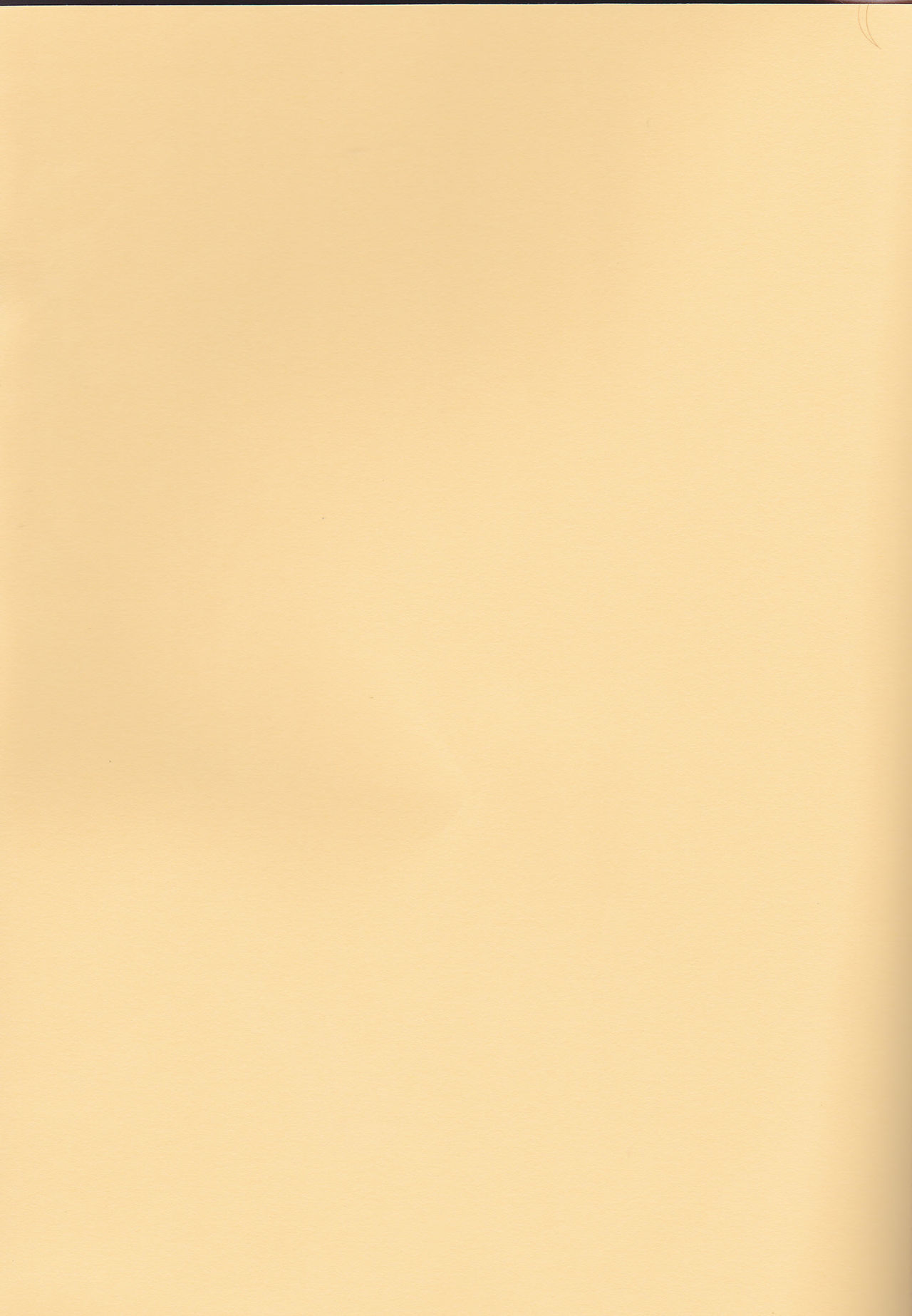 しつれん変身 しつれん変身