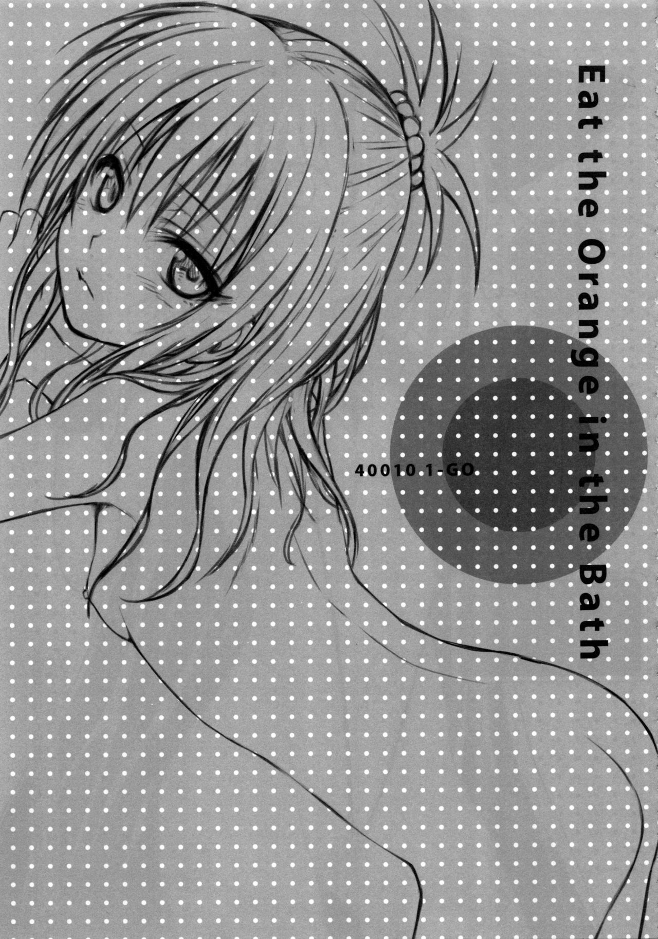 プロトタイプオレンジみかん本総州編