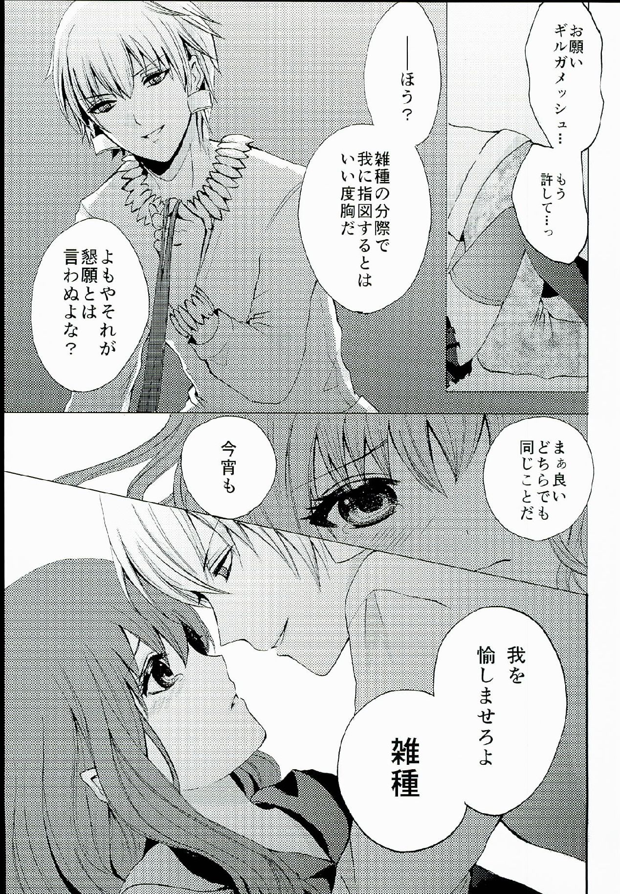 Fate_CCC1同人誌