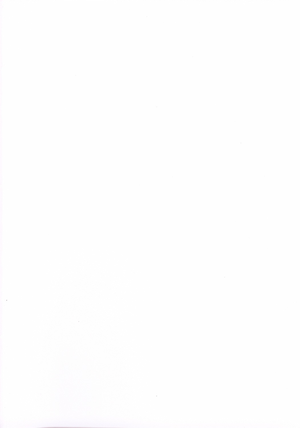 ポヨパチョストーム