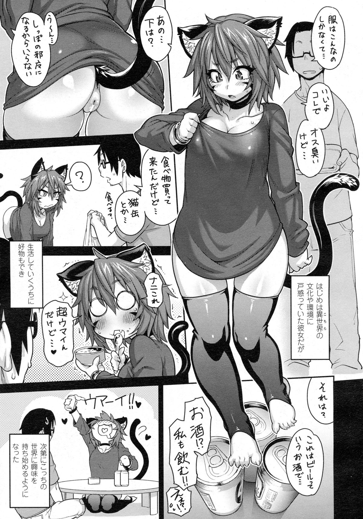 けものむすめコミュニケーション〜猫娘近く〜