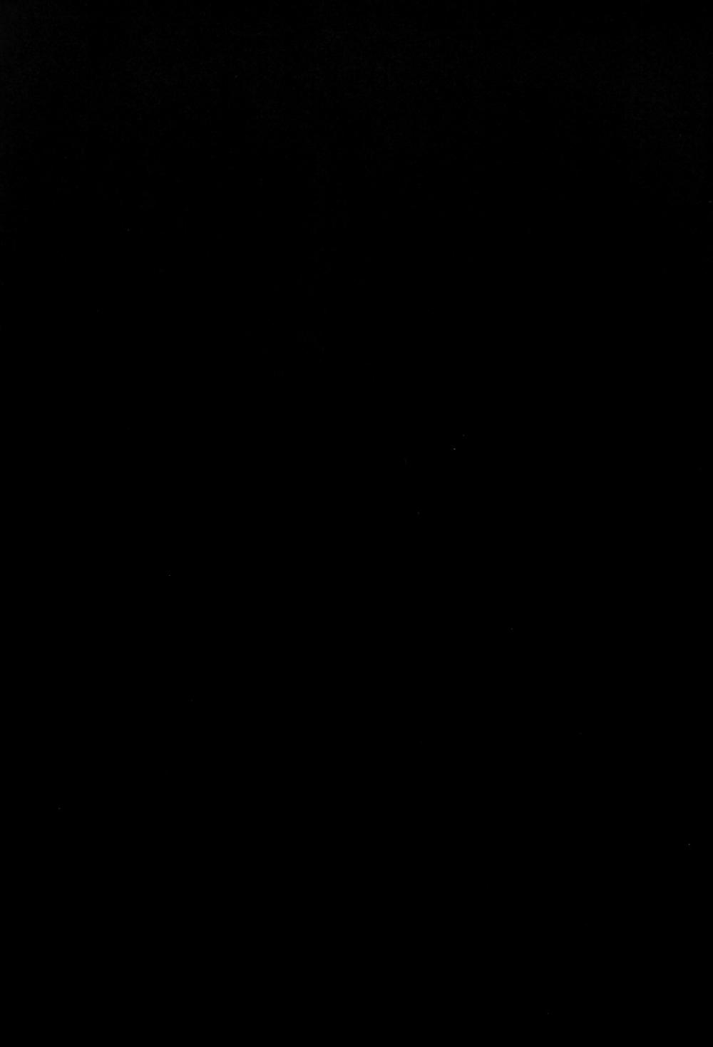 カリーナからシロナツメへ