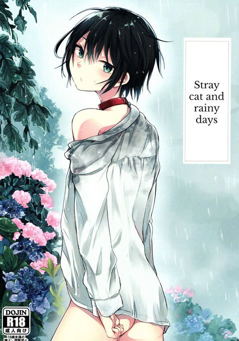 のらねこと雨の日{翔太ちゃん} のらねこと雨の日{翔太ちゃん}