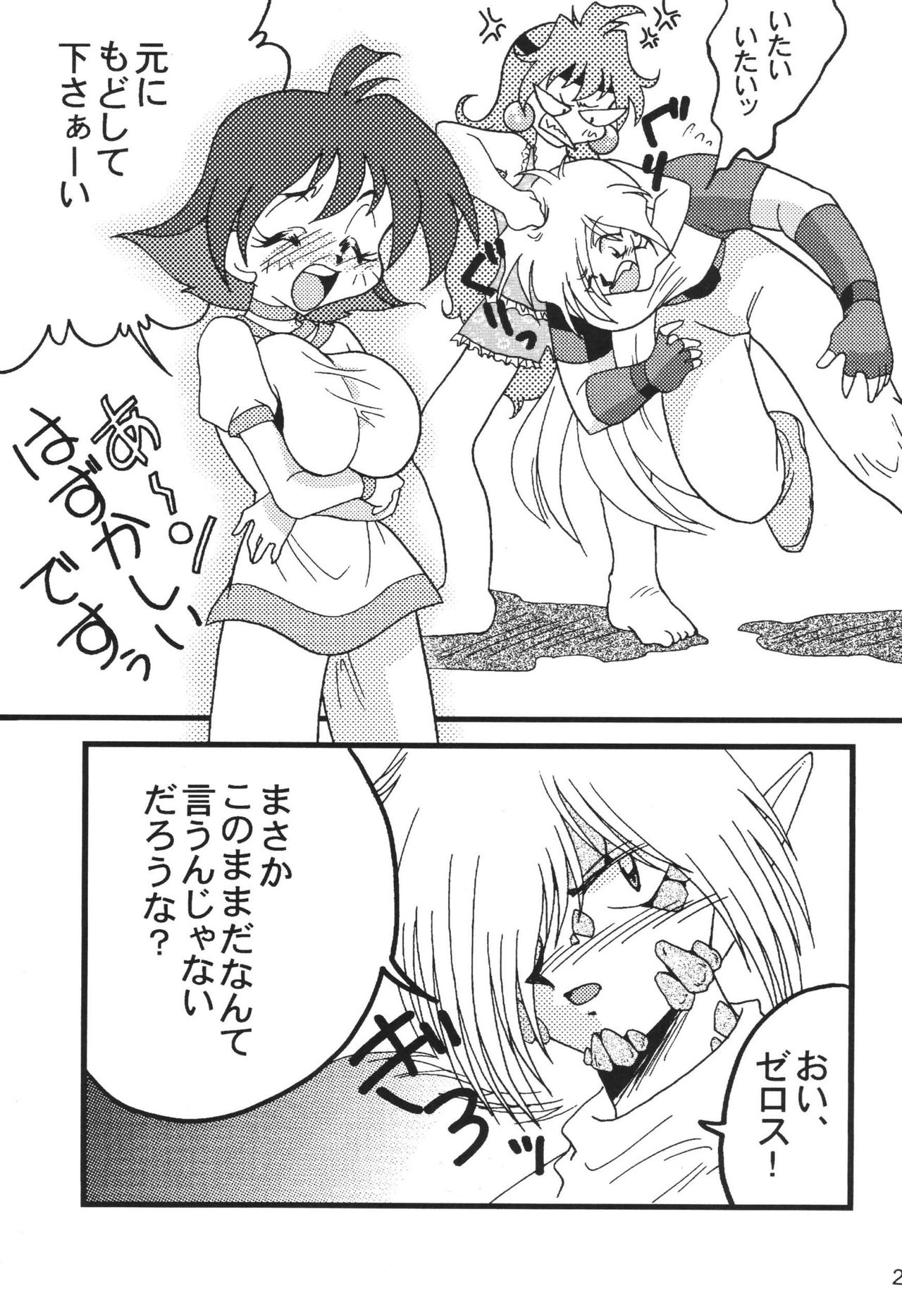 SLAYERS ADULT 9