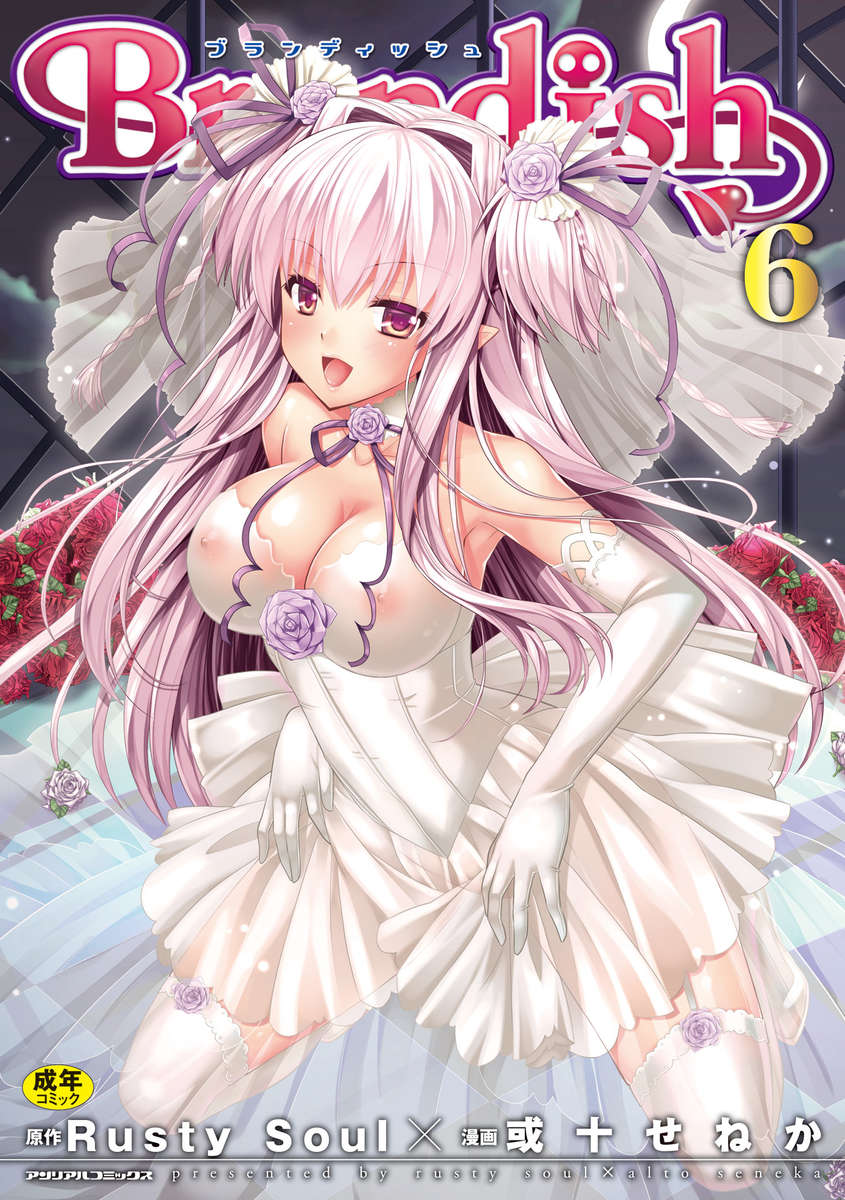 ブランディッシュ6 ブランディッシュ6