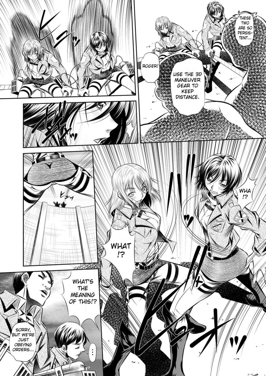 しんぎきのきょうこん