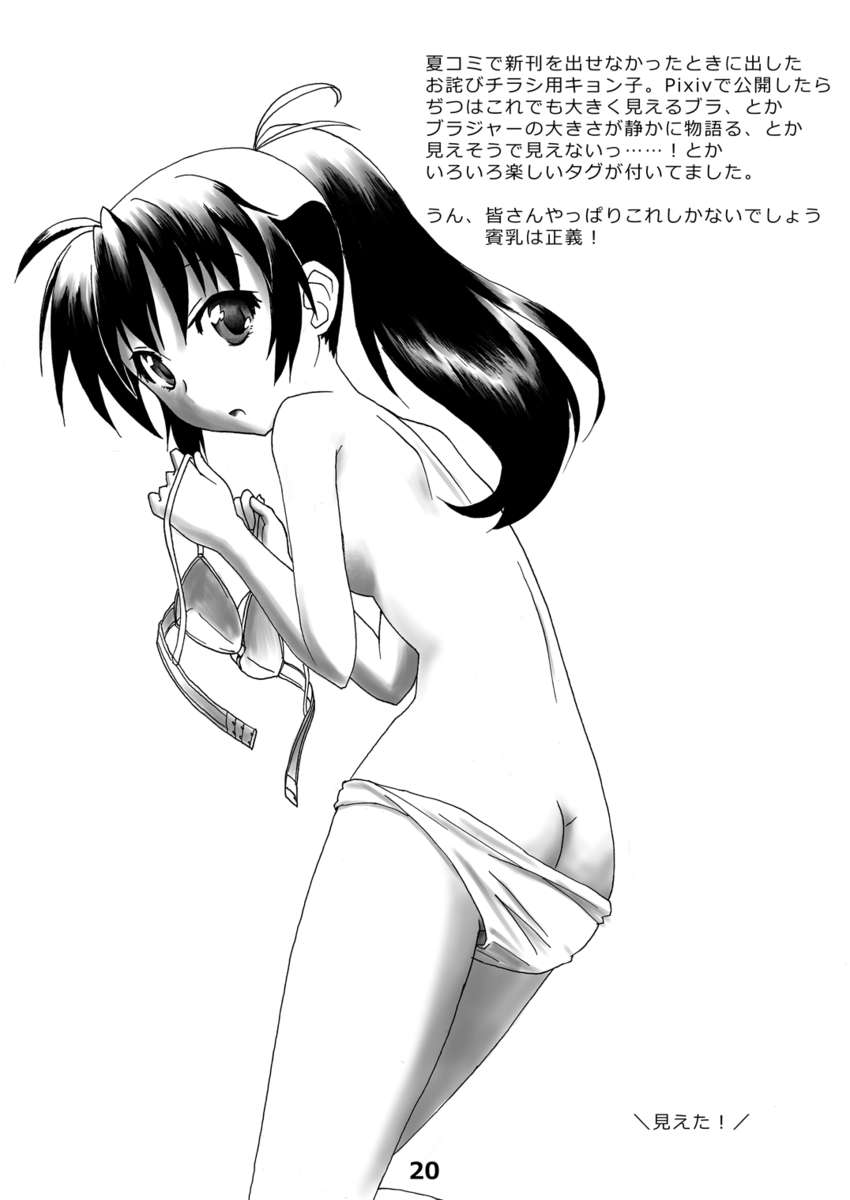 コンポジションミックス3「キョンコの本」