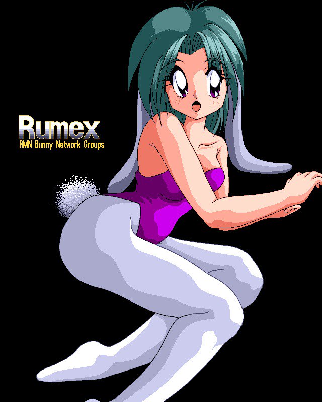 セーラーバニーガシュウ園一