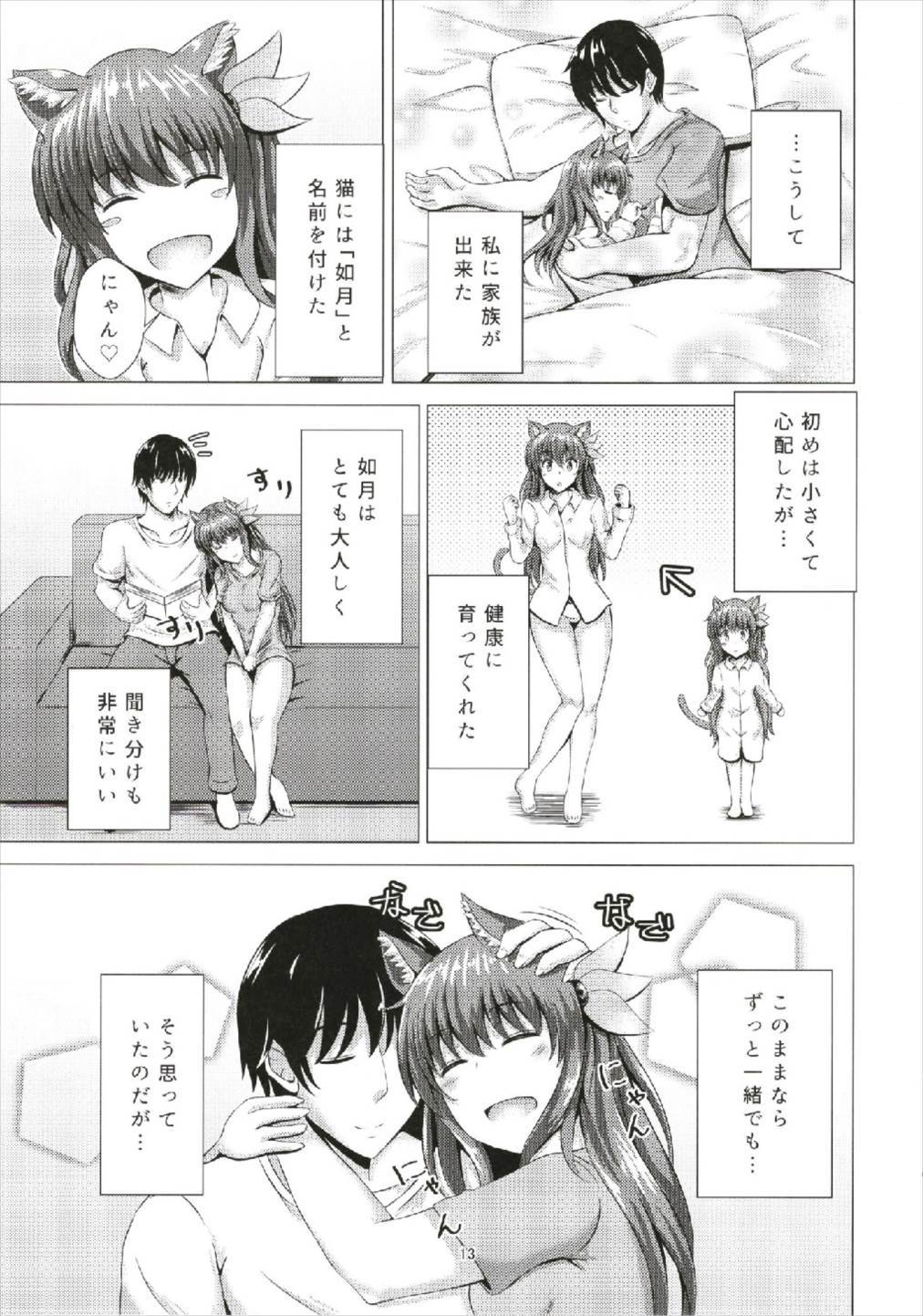 慶国の如月5ステネコ如月ちゃん