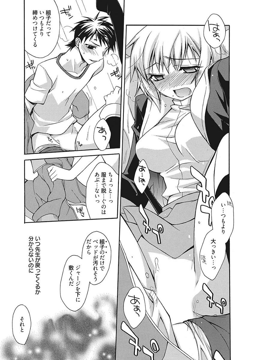 生木狩野城のしつけかた