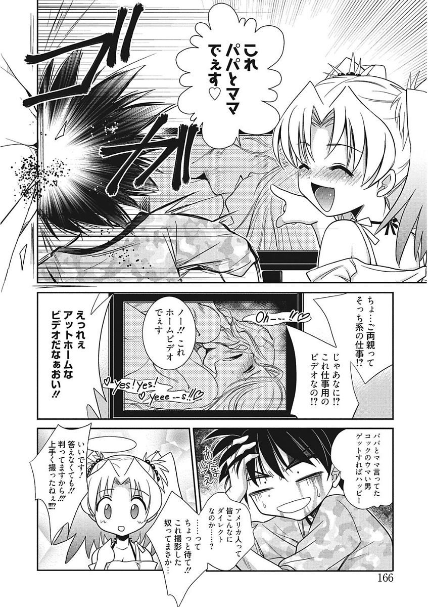 生木狩野城のしつけかた
