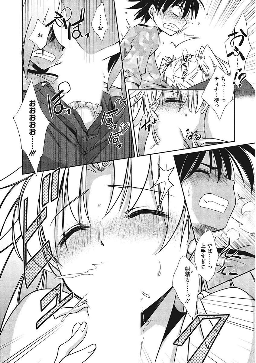 生木狩野城のしつけかた