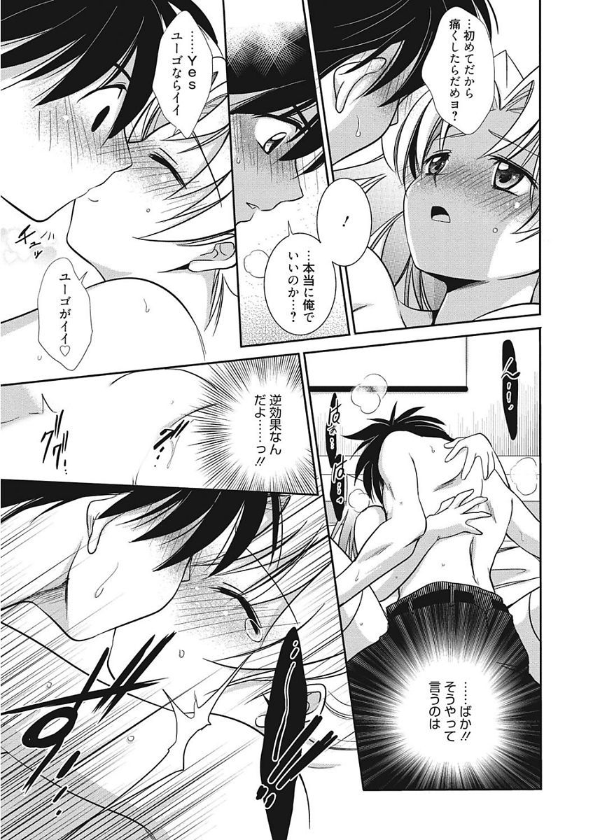 生木狩野城のしつけかた