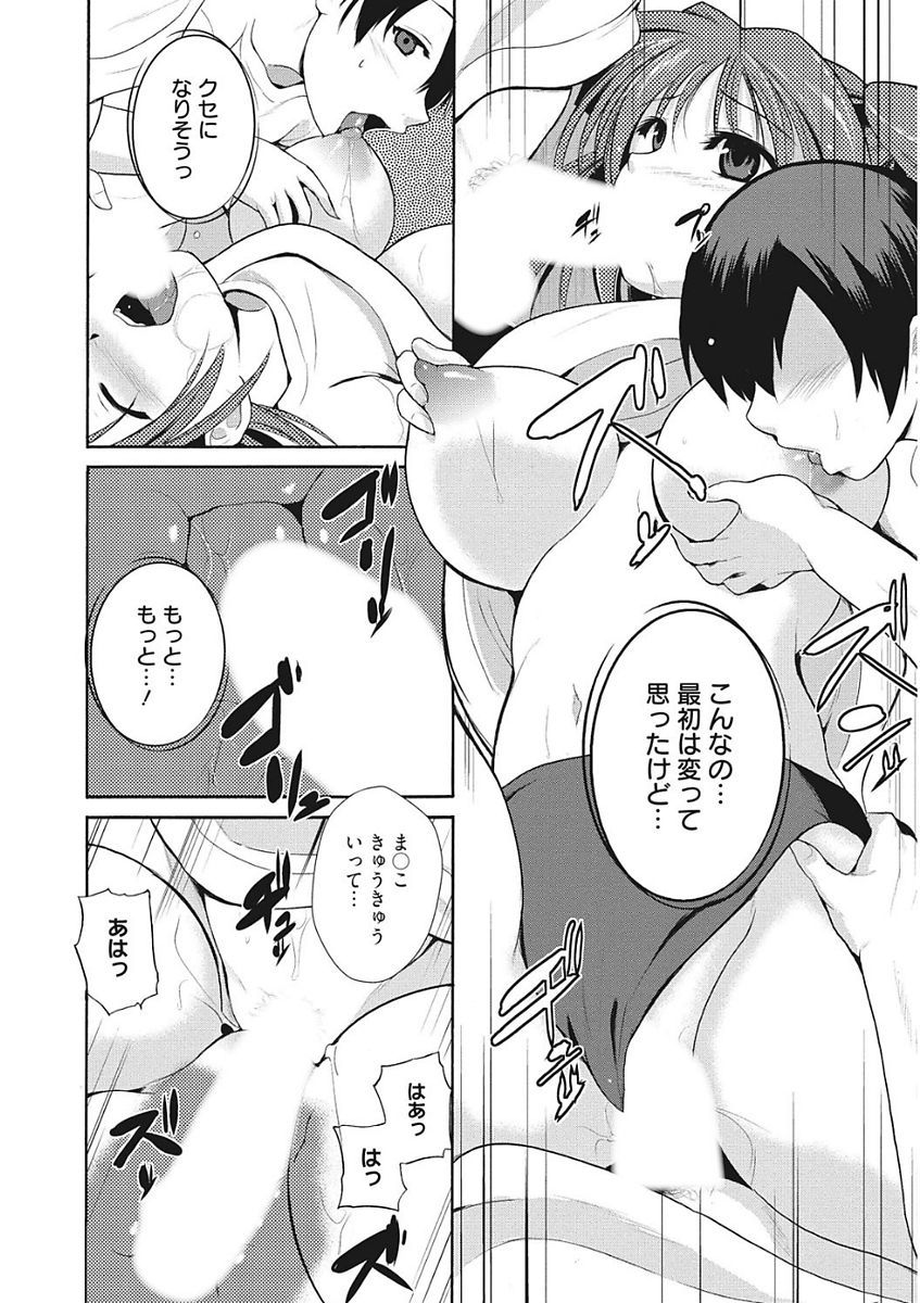 生木狩野城のしつけかた