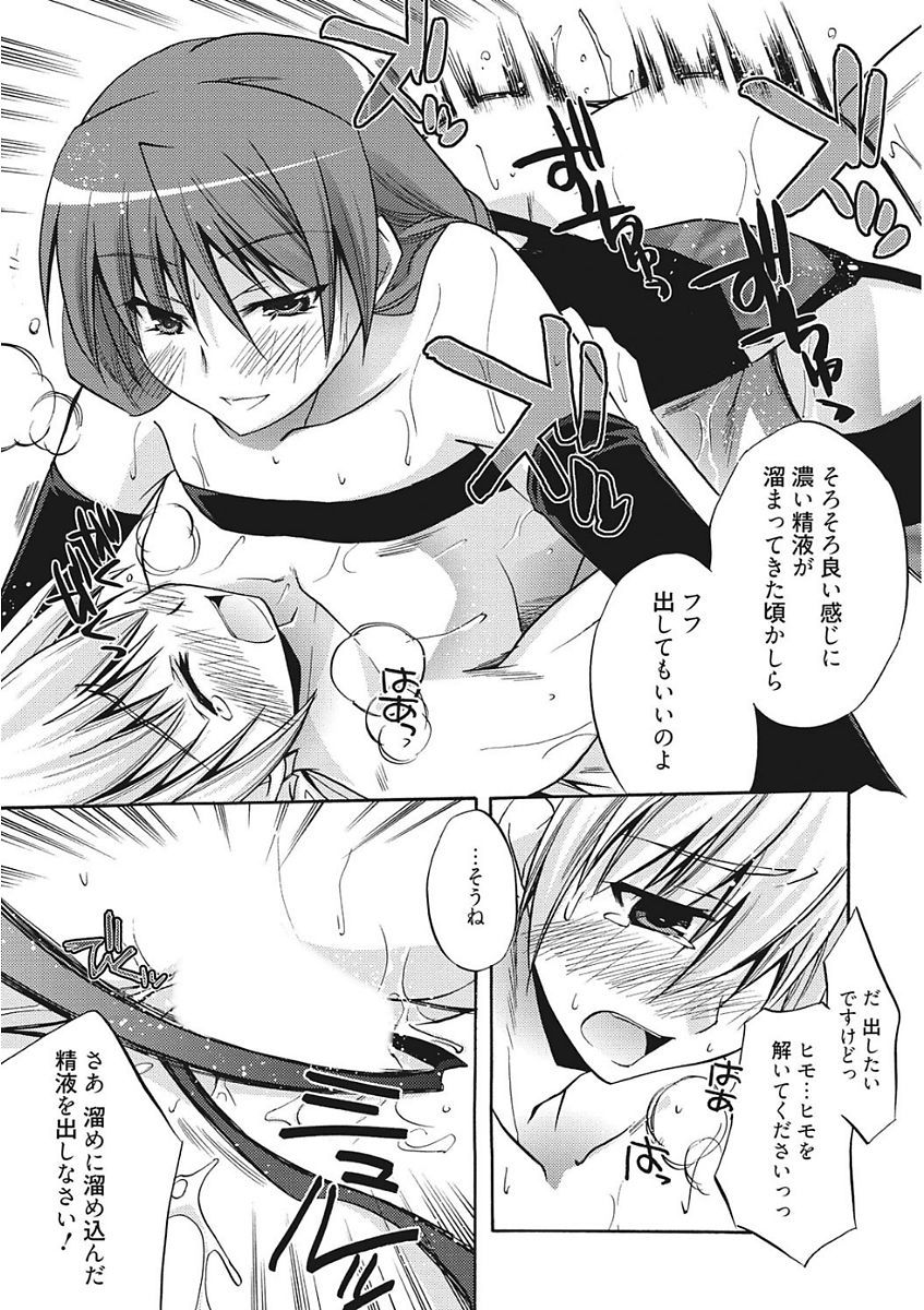 生木狩野城のしつけかた