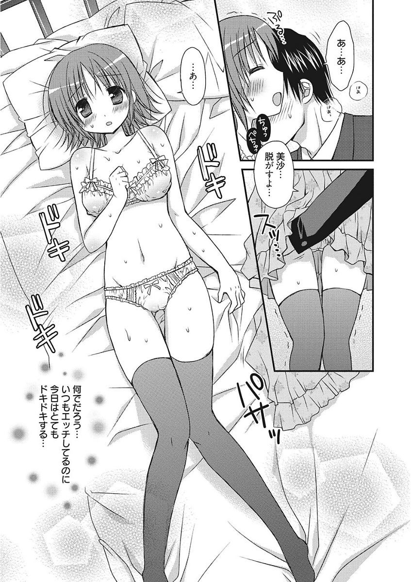生木狩野城のしつけかた