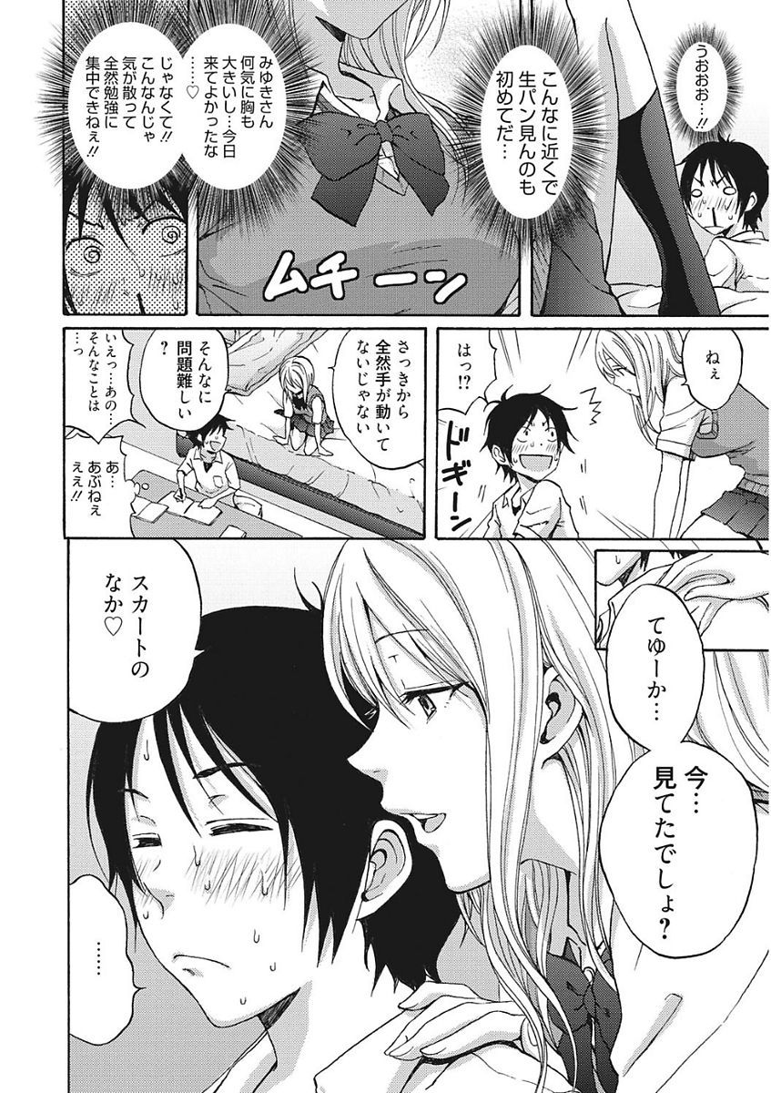 生木狩野城のしつけかた