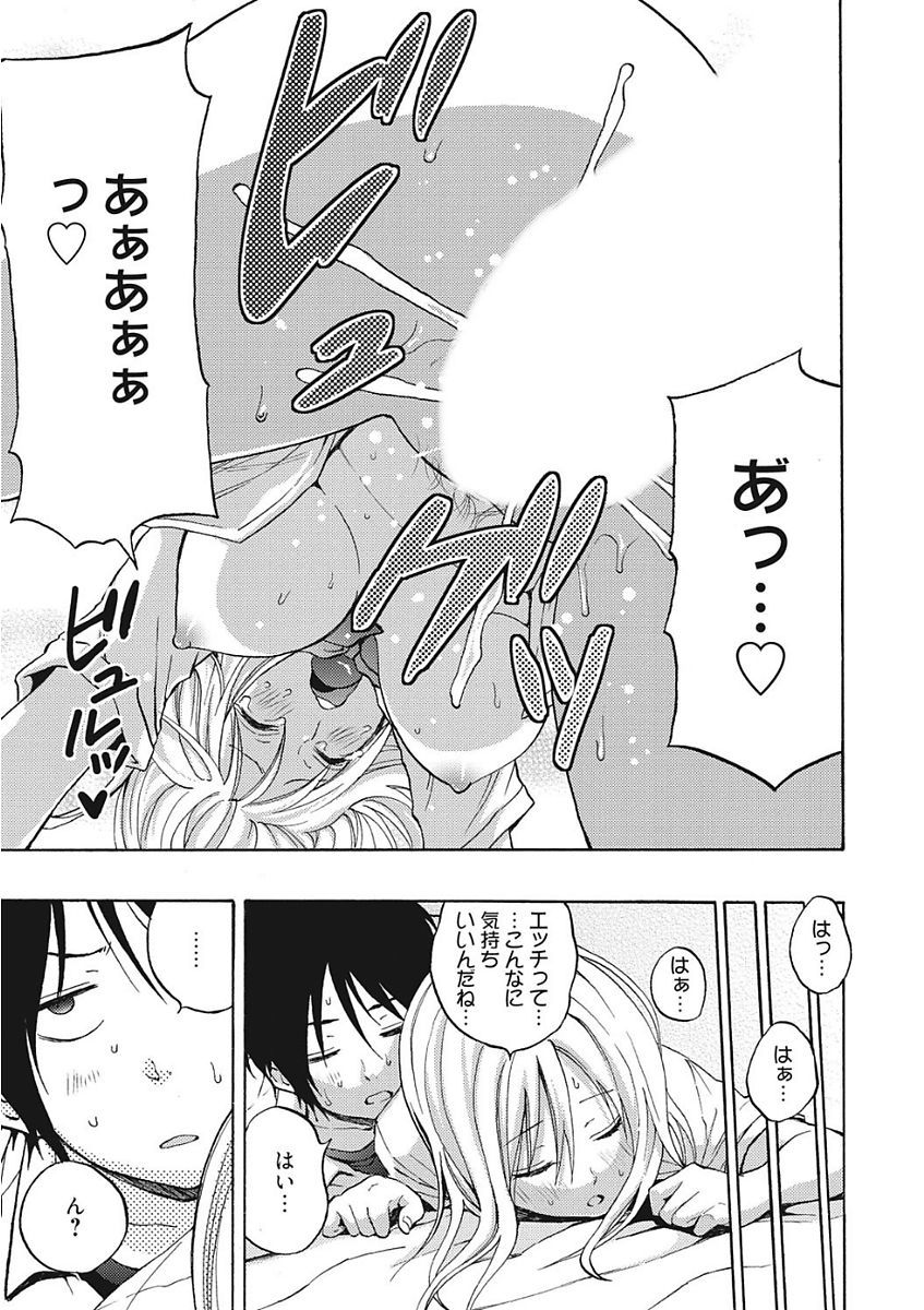 生木狩野城のしつけかた