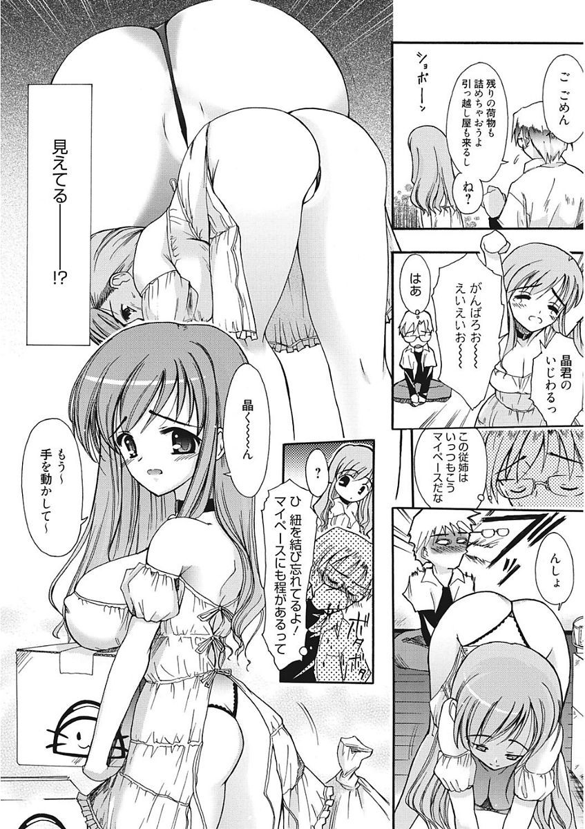 生木狩野城のしつけかた