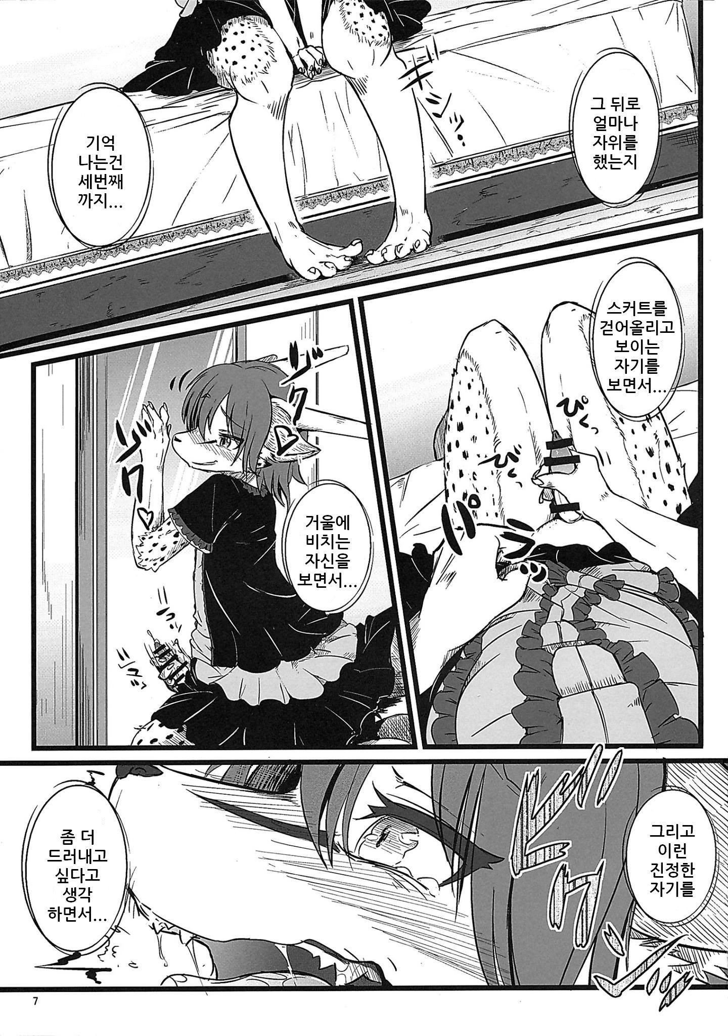 おさんぽじゅんび